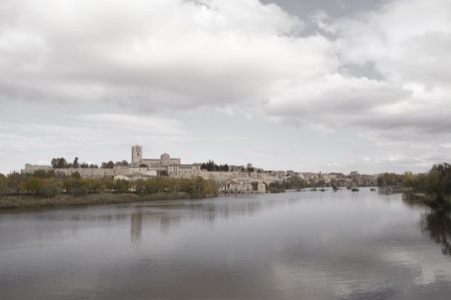 Visita guiada Zamora desde el Origen