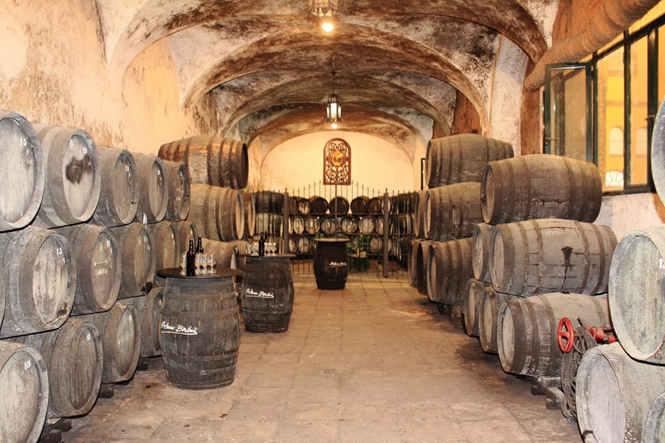 Jornada de Puertas Abiertas en las Caballerizas de Orléans-Borbón